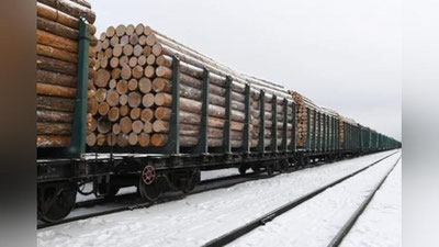 'O`zbekistonning yog`och sanoatidagi importi hajmi qancha?'ning rasmi