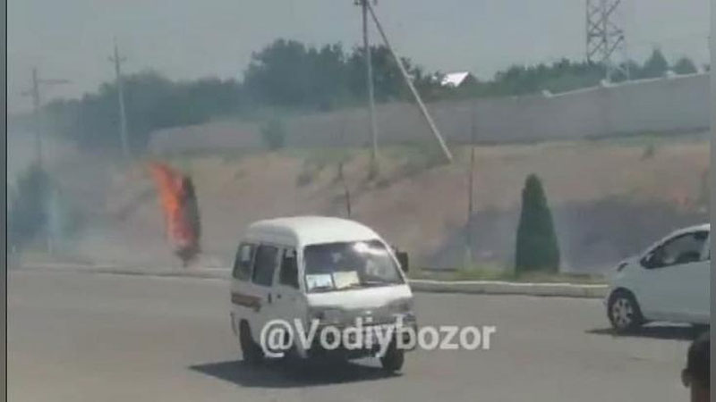 'Andijon davlat universiteti ko`chasidan o`tib ketayotgan poezdning uchquni archalarga tegib, yong`in sodir bo`ldi(video)'ning rasmi