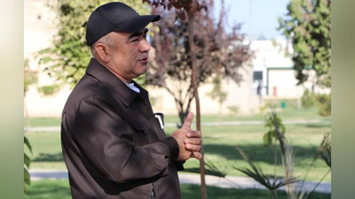 'Qashqadaryoda 24 soat ishlaydigan ko`cha paydo bo`ladi'ning rasmi