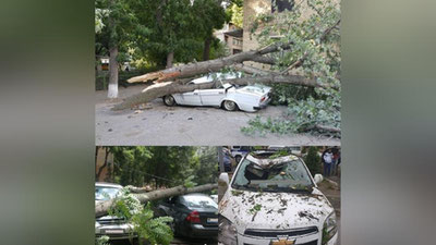 'YHXBB haydovchilardan ehtiyotkorlikni so`radi. Sababi..'ning rasmi