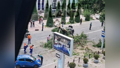 'Mashina ustiga qulagan daraxtlar, jarohat olgan haydovchi qiz, vayron bo`lgan bolalar maydonchasi — Toshkentda kuzatilgan kuchli shamol talofatlari(video)'ning rasmi