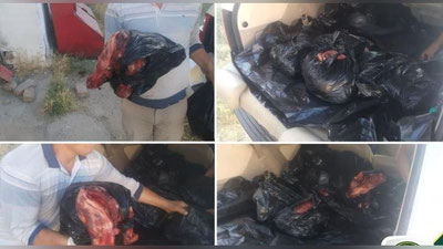 'Qarshidan Toshkentga kelayotgan no`malum hayvonga tegishli bo`lgan iste`molga yaroqsiz go`sht Chiroqchi postida ushlandi'ning rasmi