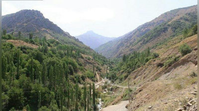 Изрображение 'На территории Чаткальского заповедника произошел пожар'