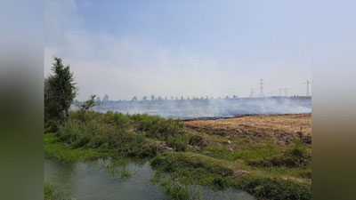 'Toshkent viloyatida 129 gektar er maydoni yonib ketdi'ning rasmi