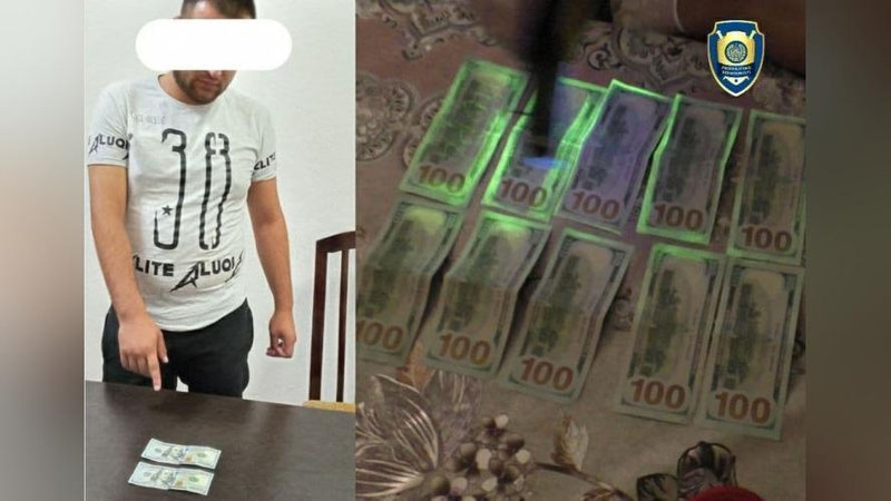 'Qashqadaryo va Samarqand viloyatlarida o`qishga kiritish bilan bog`liq firibgarlik holatlari aniqlandi'ning rasmi