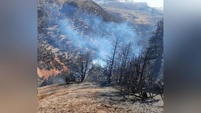Изрображение 'Пожар в Заамине: пожарные пытаются остановить распространение огня (видео)'