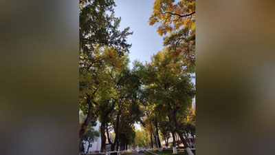 Изрображение 'В Узбекистане сохраняется солнечная теплая погода: прогноз на 18 октября'