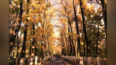 Изрображение 'Воздух в Ташкенте очистился, - Узгидромет'