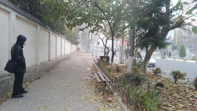 Изрображение 'В Ташкенте пыльная мгла: погода на 5 ноября'