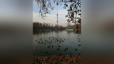 Изрображение 'В Узбекистане без осадков: погода на 9 декабря'