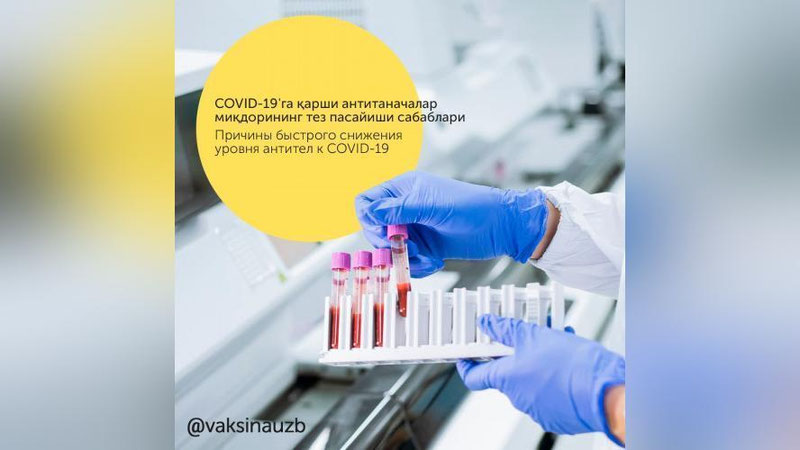 'Россиялик иммунолог COVID-19'га қарши антитаначалар тез йўқолиши сабабларини санаб ўтди'ning rasmi