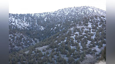 Изрображение 'Узгидромет обещает дождь со снегом в ближайшие 2 дня'