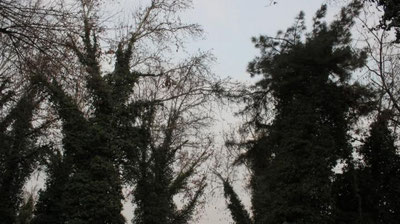 Изрображение 'В Ташкенте до +17: погода на 2 марта'