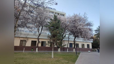 Изрображение 'В Узбекистане в выходные дни температура воздуха снизится, местами дожди'