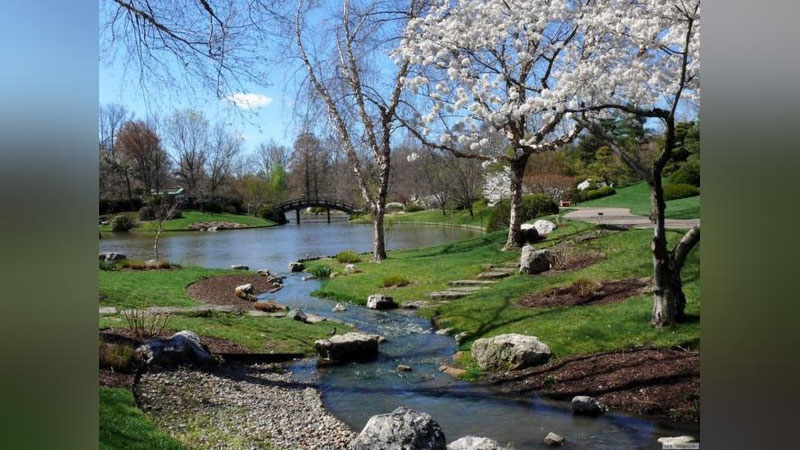 'Бугун Ўзбекистоннинг қайси ҳудудларида ёғингарчилик кузатилади?'ning rasmi