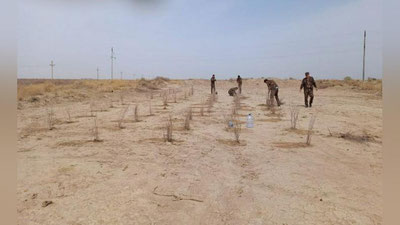 Изрображение 'В Узбекистане отчитались, сколько саженцев уже высадили в рамках проекта «Яшил макон»'