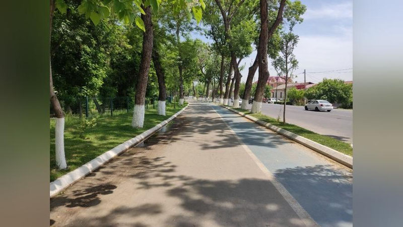 Изрображение 'В Узбекистане ожидается теплая погода без осадков: прогноз на 16 мая'