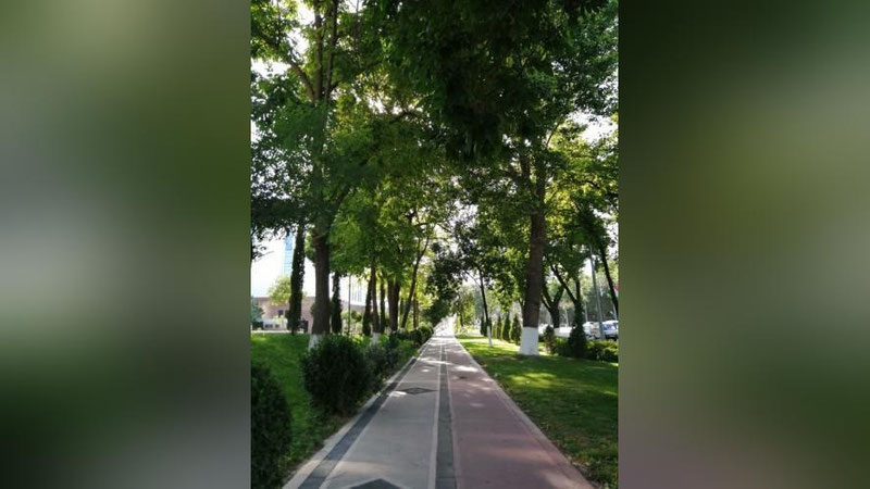 Изрображение 'В Ташкенте +36: погода на 12 июля'