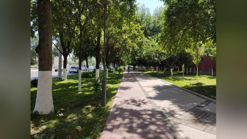 Изрображение 'В Ташкенте воздух прогреется до +38: погода на 15 июня'