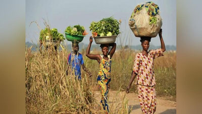 'Davlat ajratayotgan subsidiyalar foydami yoki zarar?'ning rasmi