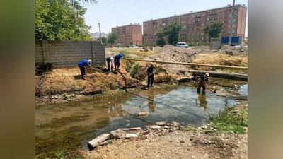 'Тошкентда ариқ мушуклар жасадлари билан тўлдирилгани ростми?'ning rasmi