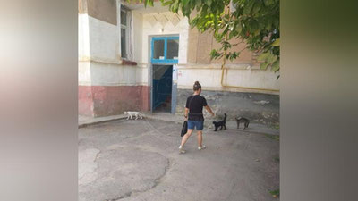 Изрображение 'Подростков, издевающихся над животными, нашли в Алмалыке'