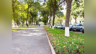 Изрображение 'В Ташкенте потеплеет до +26: погода на 4 октября'