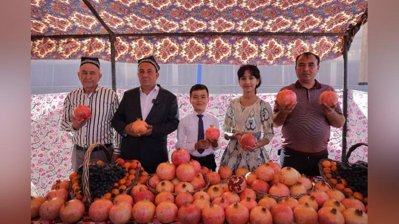 Изрображение 'В Сурхандарье впервые проводится фестиваль граната (фото)'
