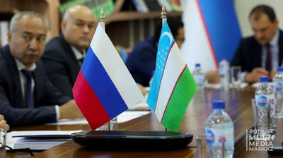 Изрображение 'Россия готова наращивать экспорт в Узбекистан подсолнечного масла и кондитерских изделий'