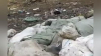 'Toshkent viloyatiga tashlab ketilgan ikki tonnaga yaqin o`lgan tovuqlar atrofga badbo`y hid tarqatmoqda'ning rasmi