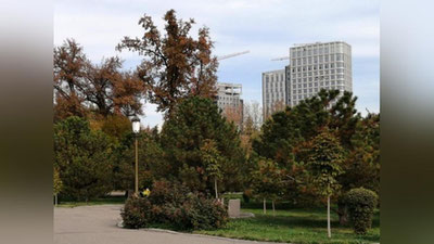 Изрображение 'Холодный антициклон из Казахстана снизит температуру воздуха в Узбекистане'