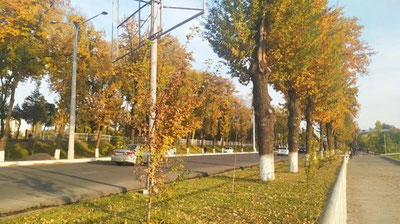 Изрображение 'В Ташкенте без осадков, к вечеру возможно усилится ветер: погода на 1 ноября'