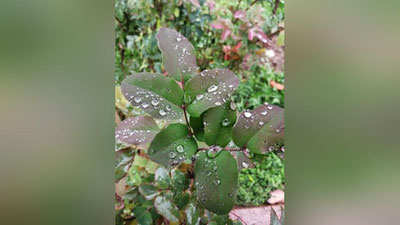 Изрображение 'Местами дождь: погода в Узбекистане на 4 ноября'