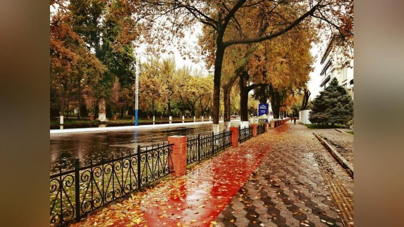 Изрображение 'Синоптики рассказали о том, когда в Узбекистане начинается настоящая осень'