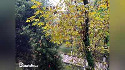 'Harorat ko`tarilishi, kuchli yomg`ir va qor ko`chish... O`zbekistonda dam olish kunlari kutilayotgan ob-havo ma`lumoti e`lon qilindi'ning rasmi