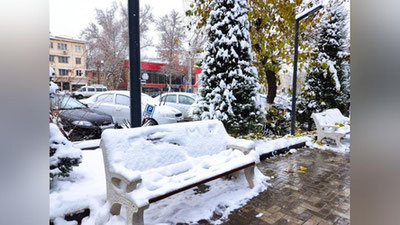 Изрображение 'В Ташкенте без осадков, 10 градусов мороза: погода на 14 января'