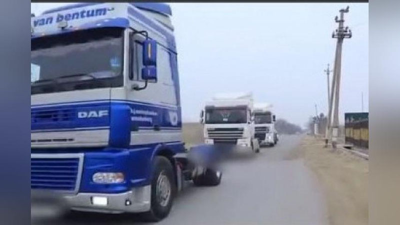 Изрображение 'В Бухаре оштрафовали свадебный кортеж из грузовиков (видео)'