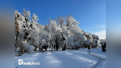 'O`zbekistonda sovuq antisiklon dam olish kunlarida ham saqlanib turadi'ning rasmi
