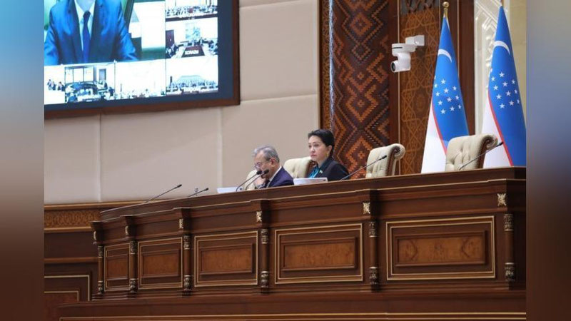 'Bugun Senatning o`ttiz sakkizinchi yalpi majlisi o`tkaziladi'ning rasmi