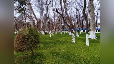 Изрображение 'В Ташкенте потеплеет до +26: погода на 10 марта'