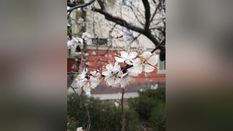 Изрображение 'Выходные будут пасмурными: прогноз погоды от Узгидромета'