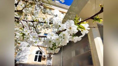 Изрображение 'В Ташкенте сегодня без осадков: погода на 18 марта'