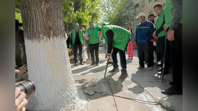 Изрображение 'В Ташкенте стартовала акция по освобождению деревьев из бетонного плена (фото)'