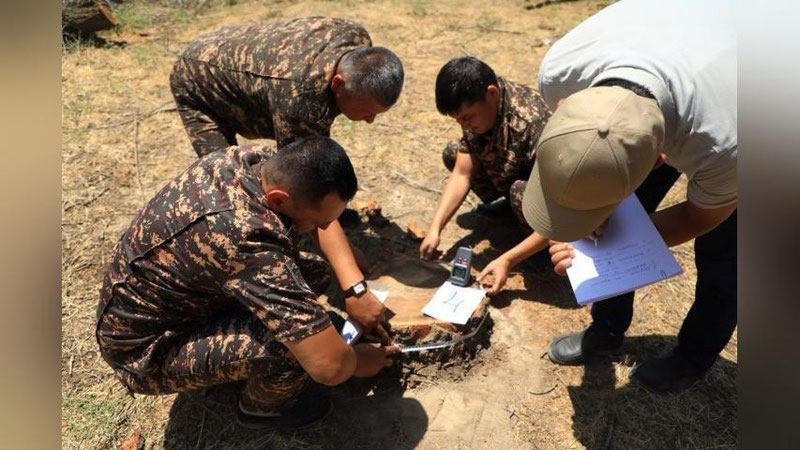 Изрображение 'В Булунгуре группа граждан вырубила 10 деревьев'