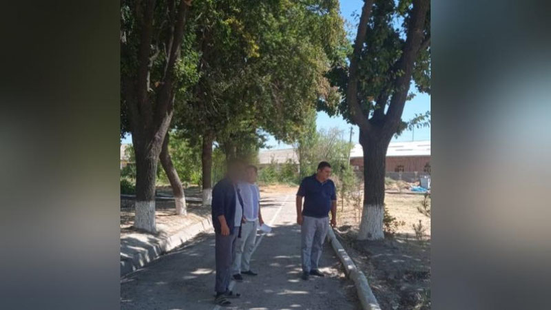 'Oqqo`rg`on tumanida daraxtlar qurib qoldi. Mas`ullarga chora ko`rildi'ning rasmi