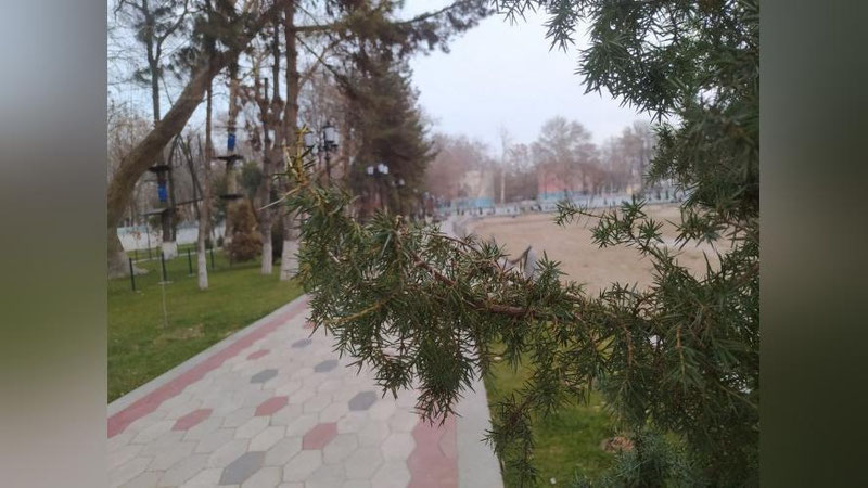 Изрображение 'Начало февраля будет холодным, - синоптики'