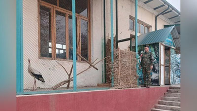 Изрображение 'Раненого краснокнижного аиста приютил у себя житель Риштана'