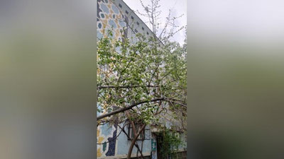 Изрображение 'В Ташкенте +23: погода на 7 апреля'