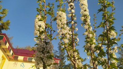 Изрображение 'Синоптики рассказали, какая погода ждет узбекистанцев на новой рабочей неделе'