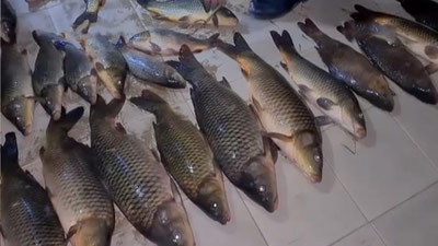 'Elektr toki bilan baliq ovlaganlar jinoiy javobgarlikka tortilishi mumkin'ning rasmi